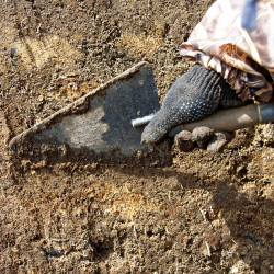 Close-up of an archaeology trowel being used for excavation, representing the IFR staff profile.