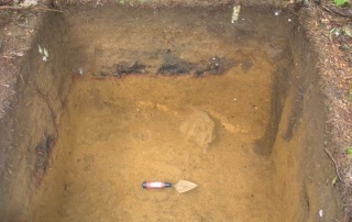 Close-up of an excavation trench in Pohnpei, showcasing stratigraphic layers and detailed archaeological study.