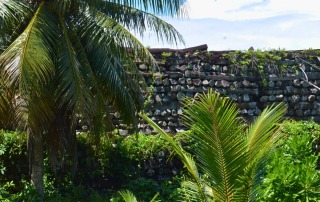 A stone wall from the ancient city of Nan Madol, surrounded by palm trees and lush greenery.