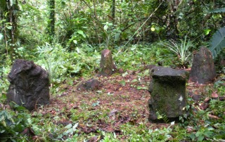 Ancient stone monoliths in the lush jungle of Pohnpei, representing the island's prehistoric archaeological heritage.