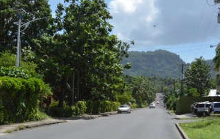 A paved road lined with greenery in Pohnpei, leading to a scenic view of mountains in the distance.