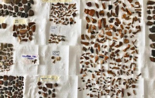 Close-up view of carefully organized artifacts and small finds on a white cloth at Bostel di Rotzo, Italy.