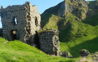 Ruins of a stone castle nestled in a lush green landscape in Ireland, capturing the historical and scenic beauty that inspires archaeology students