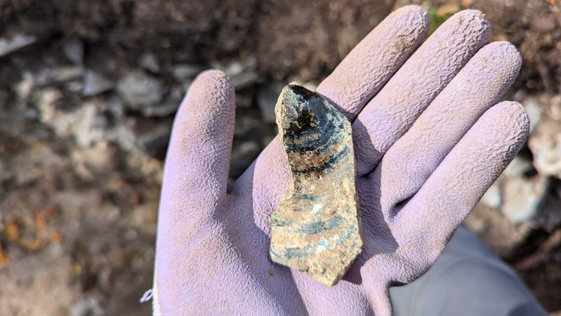 A gloved hand holds a ceramic pottery fragment discovered at a field school excavation site in Ireland