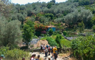 A group of students walking along a stone path through a lush olive grove in Lesvos, Greece, during a sustainable agriculture field course.