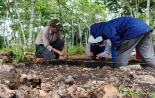 Students participating in excavation at the Actuncan site in Belize during an IFR archaeology field school, featured in a student blog