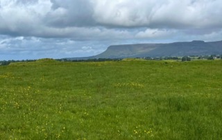 Panoramic view of the Green Fort landscape in Sligo, Ireland, with grassy fields and Benbulben mountain in the background