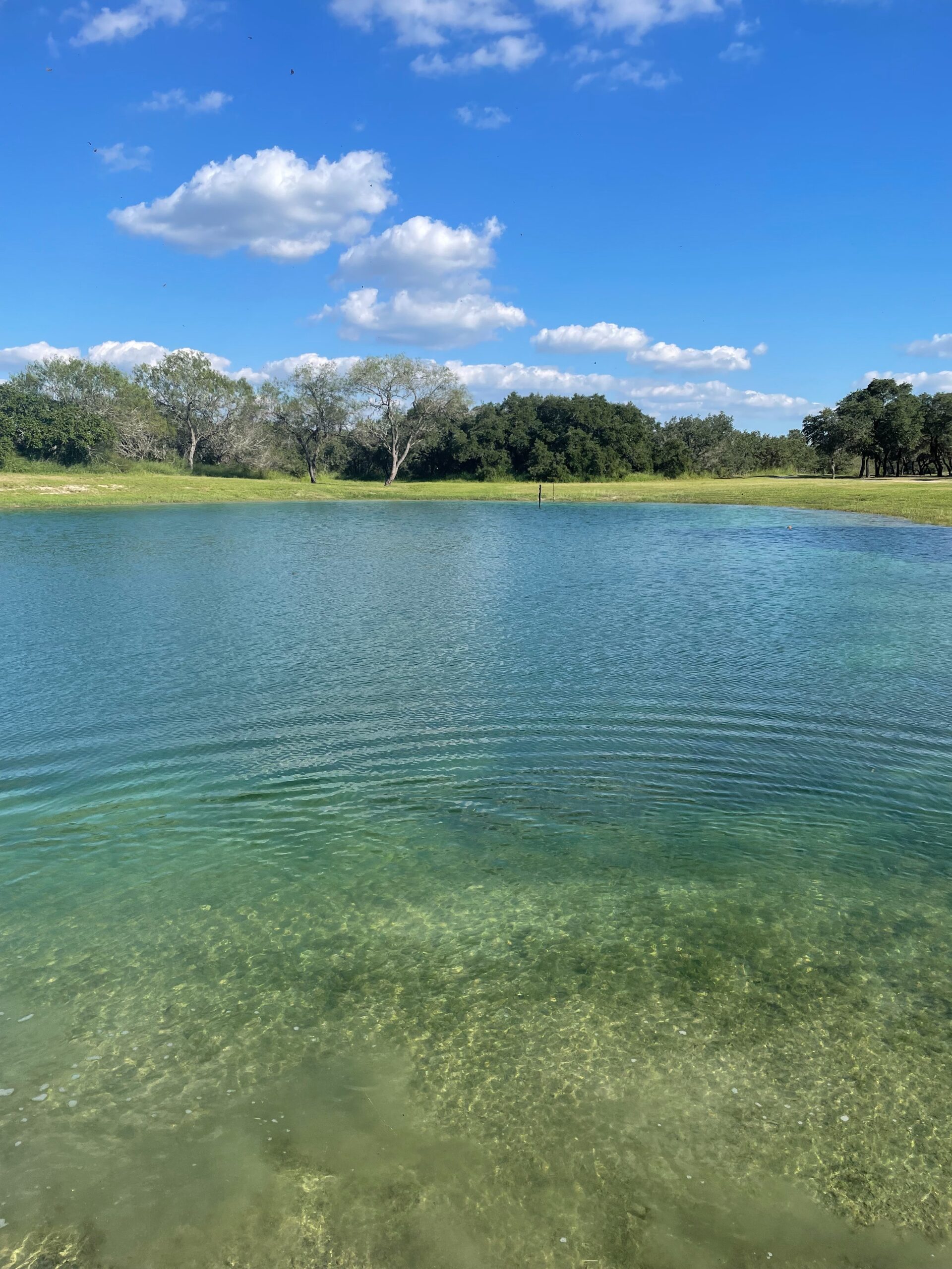 US-TX_ Brooks County Carousel (2)