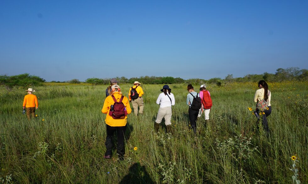 US-TX_ Brooks County Carousel